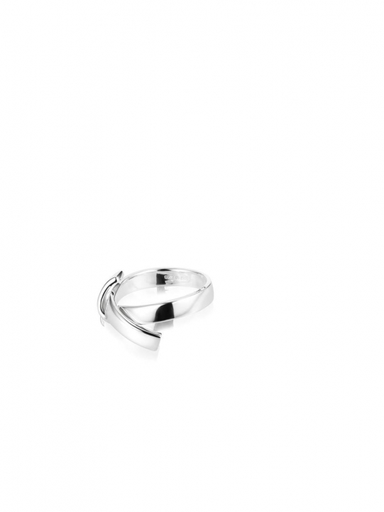 Friendship Anel Prata no grupo Anéis / Anéis de prata em SCANDINAVIAN JEWELRY DESIGN (13-100-01945)