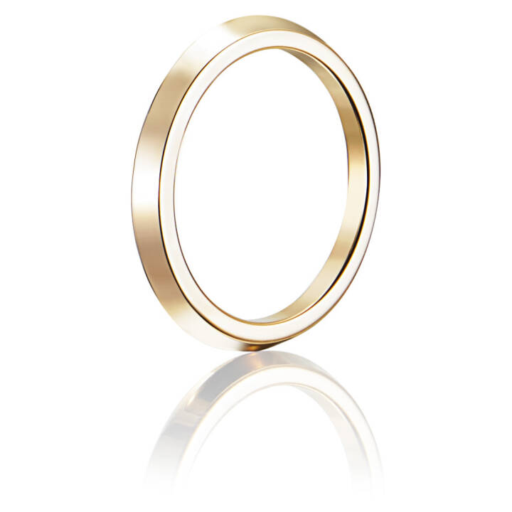 Paramour Thin Anel Ouro no grupo Anéis / Anéis de noivado & alianças em SCANDINAVIAN JEWELRY DESIGN (13-101-01129)