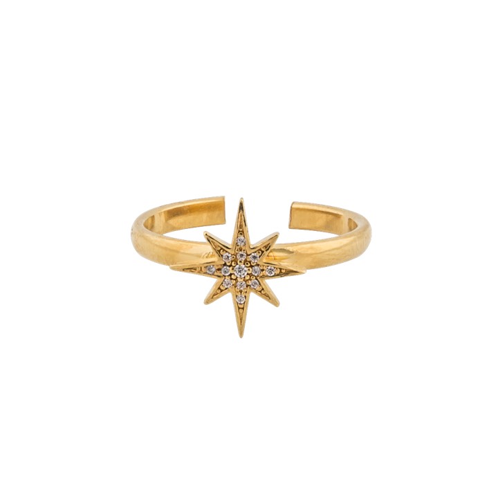One star Anel Ouro no grupo Anéis / Anéis de ouro em SCANDINAVIAN JEWELRY DESIGN (1631521001)