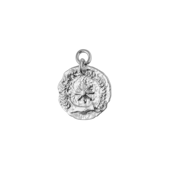 Victory coin pendant Prata no grupo Colares / Colares de prata em SCANDINAVIAN JEWELRY DESIGN (1923070001)
