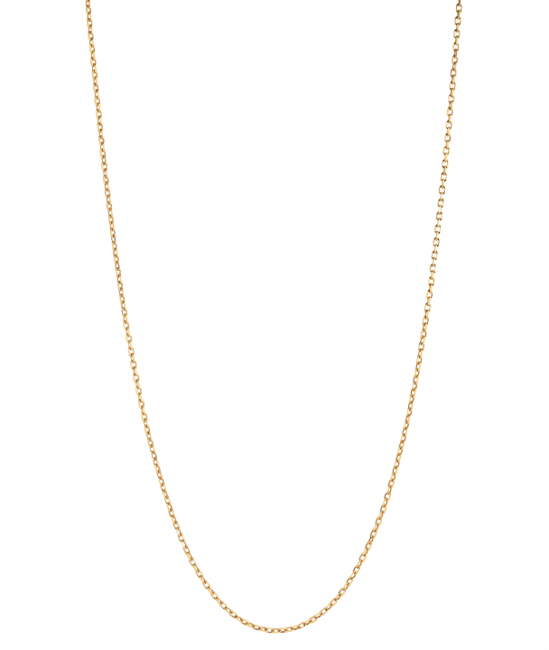 Chain 50 Adjustable Necklace 50 Goldplated Silver (One) no grupo Colares / Colares de ouro em SCANDINAVIAN JEWELRY DESIGN (300370YG-50)