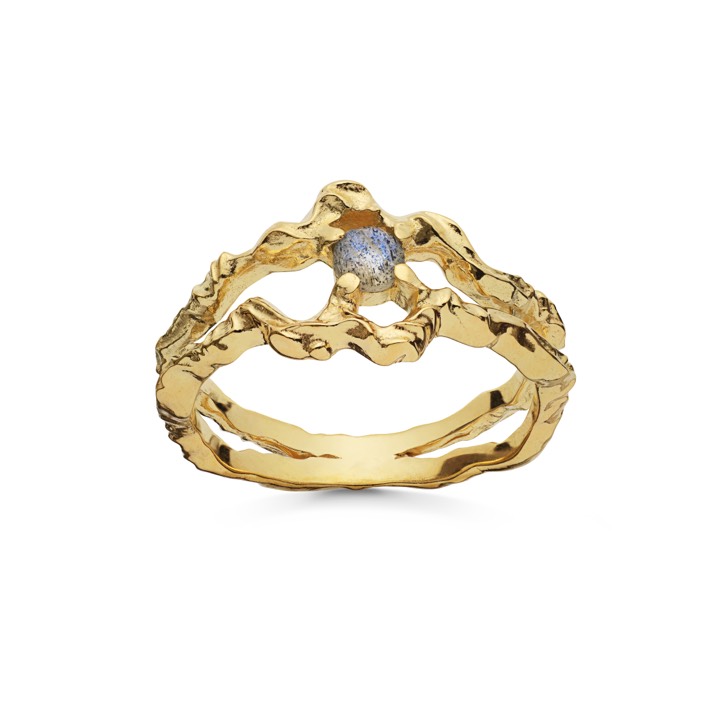Shelly Anel (Ouro) no grupo Anéis / Anéis de ouro em SCANDINAVIAN JEWELRY DESIGN (4738a)