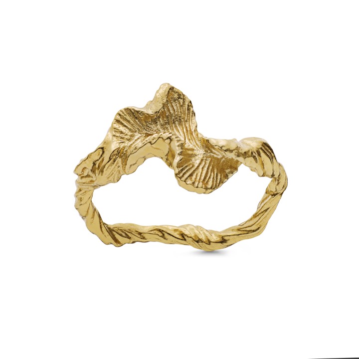 Nino Anel (Ouro) no grupo Anéis / Anéis de ouro em SCANDINAVIAN JEWELRY DESIGN (4756a)