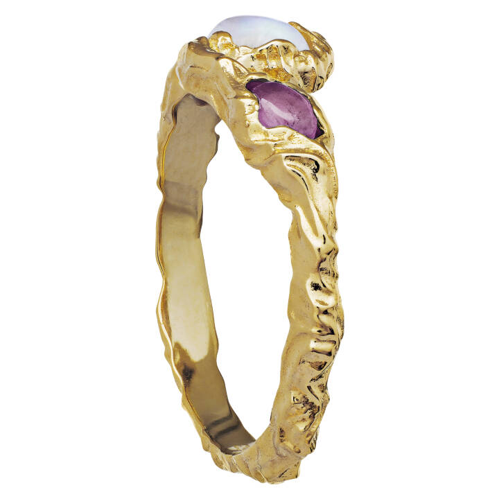 Baila Anel (Ouro) no grupo Anéis / Anéis de ouro em SCANDINAVIAN JEWELRY DESIGN (4764a)