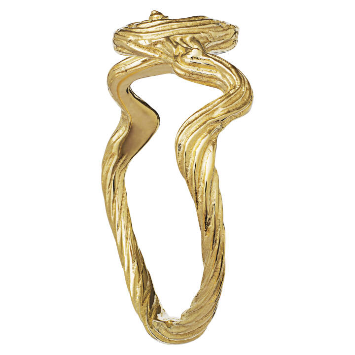 Freya Anel (Ouro) no grupo Anéis / Anéis de ouro em SCANDINAVIAN JEWELRY DESIGN (4768a)