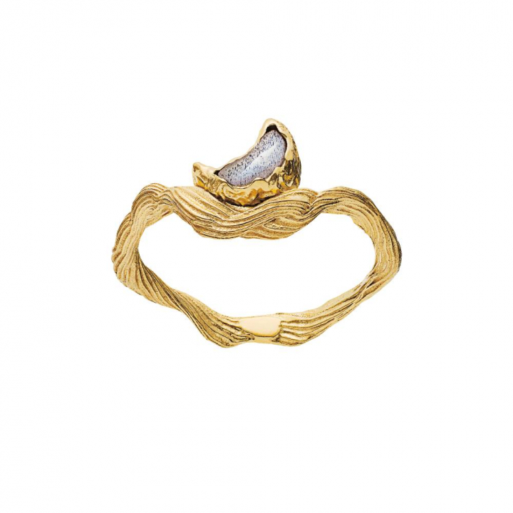 Cordelia Anel (Ouro) no grupo Anéis / Anéis de ouro em SCANDINAVIAN JEWELRY DESIGN (4773a)
