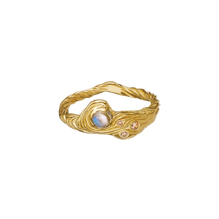 Oceana Anel Ouro no grupo Anéis / Anéis de ouro em SCANDINAVIAN JEWELRY DESIGN (4774a)