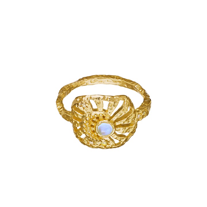 Soluna Anel Ouro no grupo Anéis / Anéis de ouro em SCANDINAVIAN JEWELRY DESIGN (4776a)
