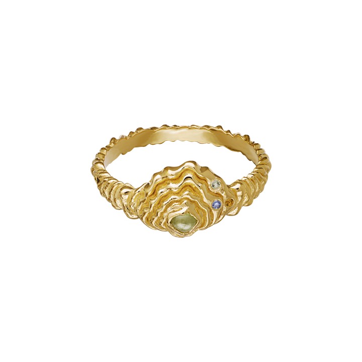 Aia Anel Ouro no grupo Anéis / Anéis de ouro em SCANDINAVIAN JEWELRY DESIGN (4777a)