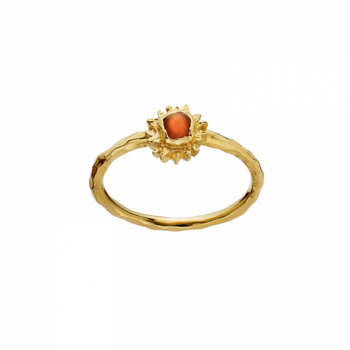 Hella Anel Ouro no grupo Anéis / Anéis de ouro em SCANDINAVIAN JEWELRY DESIGN (4780a)