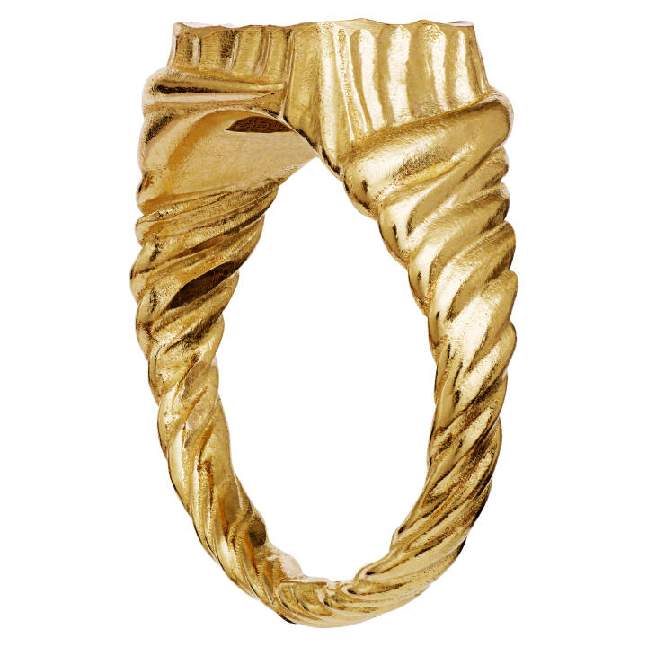 Kim Anel Ouro no grupo Anéis / Anéis de prata em SCANDINAVIAN JEWELRY DESIGN (4788a)