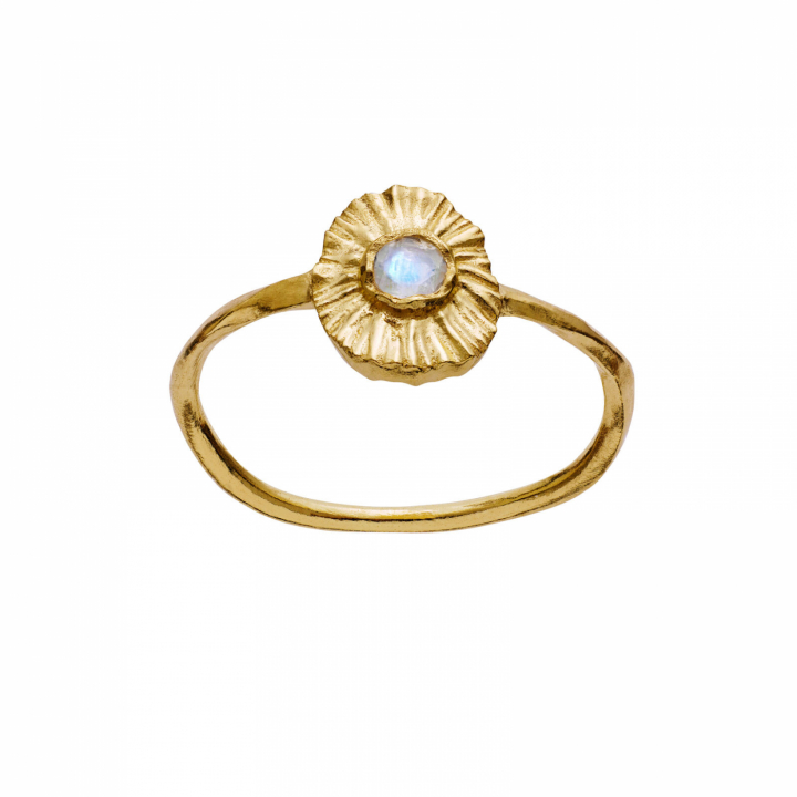 Elin Anel Ouro no grupo Anéis / Anéis de prata em SCANDINAVIAN JEWELRY DESIGN (4790a)
