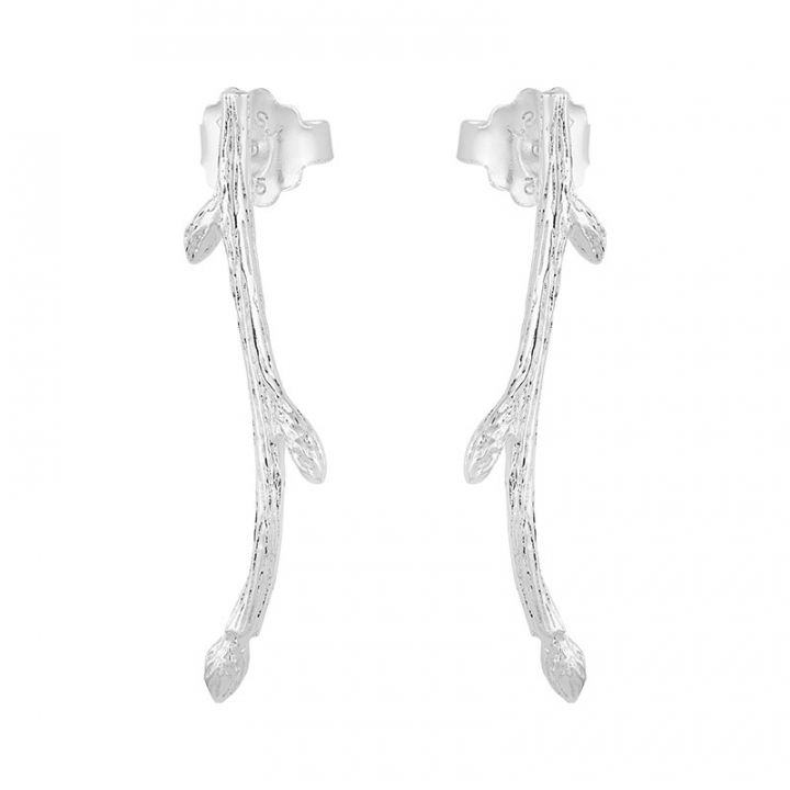 Branch earrings no grupo Brincos / Brincos de prata em SCANDINAVIAN JEWELRY DESIGN (BAH-E2M000-S)