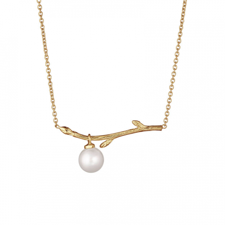 Branch pearl necklace gold no grupo Brincos / Brincos de ouro em SCANDINAVIAN JEWELRY DESIGN (BAH-N1M2501-G)