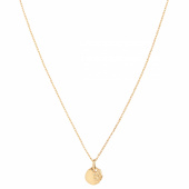 Aspen 50 Necklace Goldplated Silver (One)